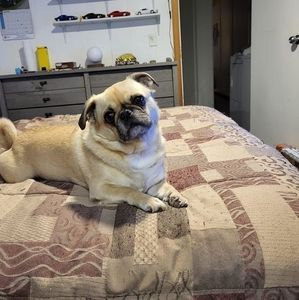 Meet your Posher, Roger